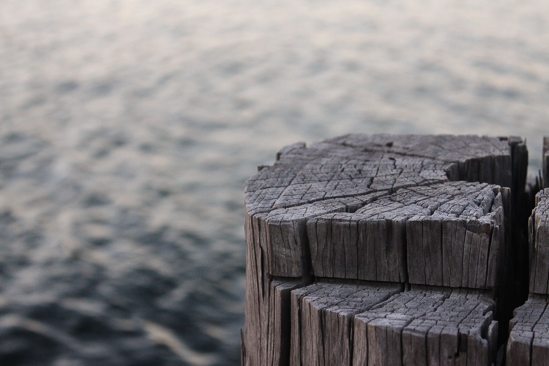 Marine